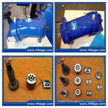 No-Leaking Clean Hydraulic Motor